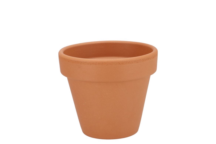 Terracotta Basic Pot 13cm