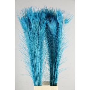 Feather Peacock Blue 110cm