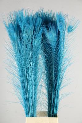 Feather Peacock Blue 110cm