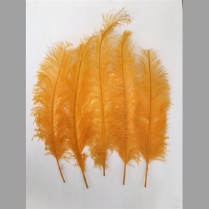 Basic Ostrich Feathers 55cm 5 Pcs Yellow