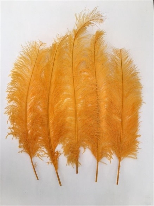 <h4>Feathers Ostrich 5 Pcs Orange</h4>