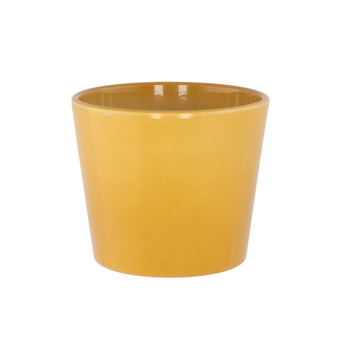 <h4>Ceramic Pot Curry Shiny 13cm</h4>