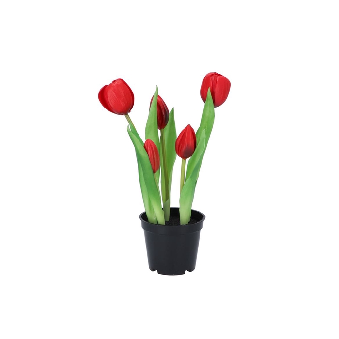 <h4>Silk Tulip In Pot 5x Red 26cm</h4>