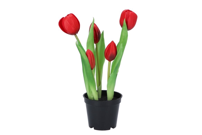 <h4>Silk Tulip In Pot 5x Red 26cm</h4>