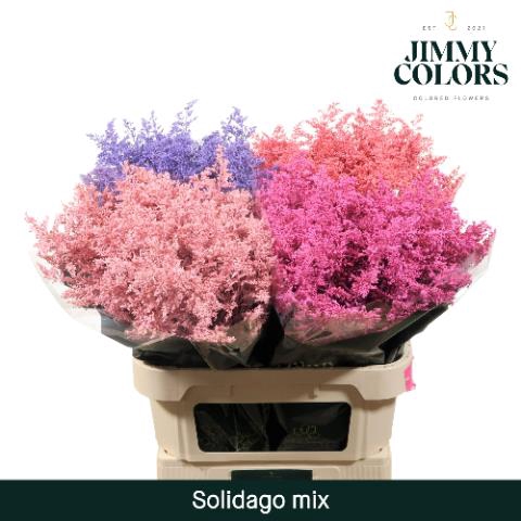 <h4>Solidago paint mix in bucket</h4>