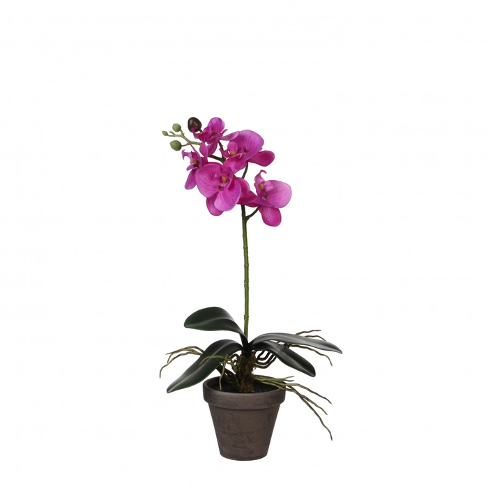 Kunstplanten Pot Phalaenopsis d11/13*48cm