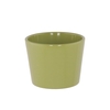 Ceramic Pot Amazon Green 11cm