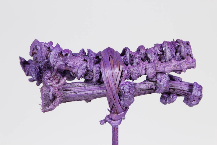 Banana sticks 3pc posy on stem purple