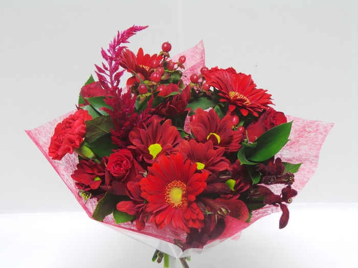 <h4>Bouquet shorties red</h4>