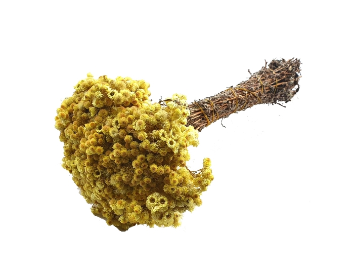 DRIED FLOWERS - IMMORTELLE NATURAL