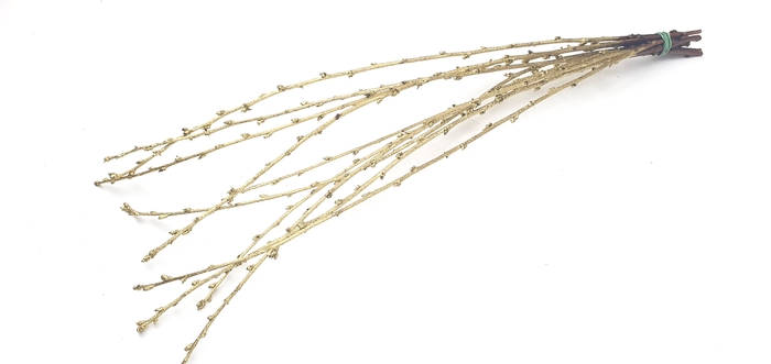 Avium branches lgt 40cm 10 stems per bunch Gold
