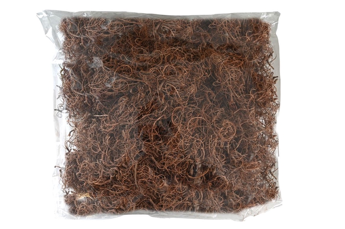 Moss Curly 500g