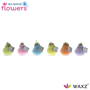 No Water Flowers Waxz® Pastel Mix