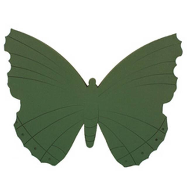 Oasis Butterfly 58 x 44 x 6 cm