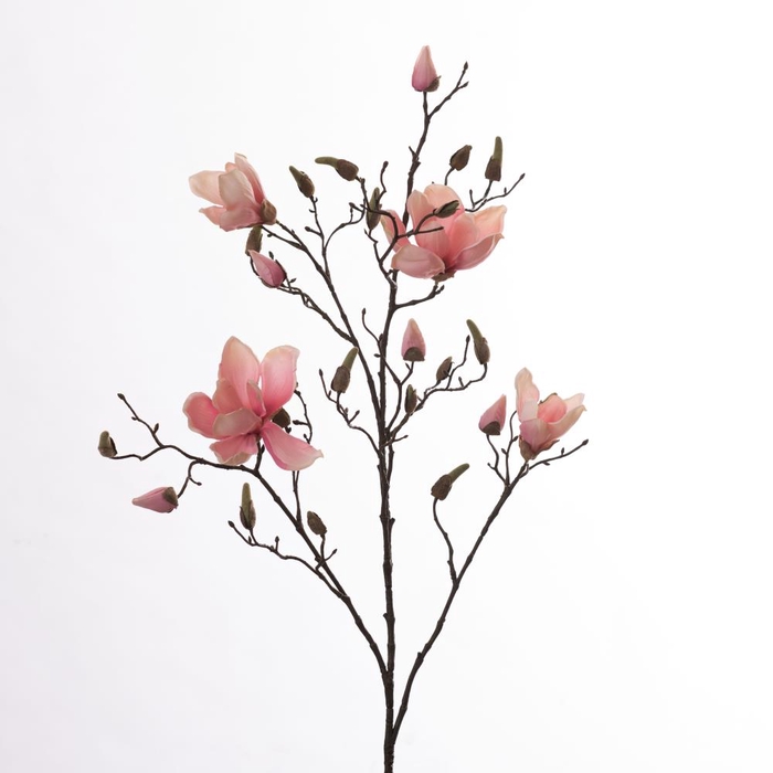 Af Magnolia L109cm Pink