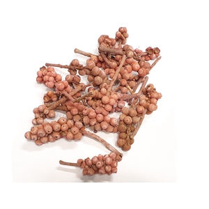 Acorn bunch 250gr in poly Frosted pink
