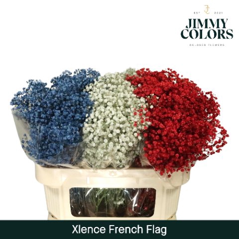 <h4>Gyps large paint french flag</h4>