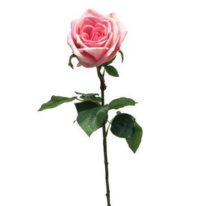 SILK FLOWERS - ROSA SERVATI GREEN-BEAUTY 68CM (S)