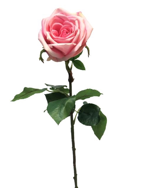 SILK FLOWERS - ROSA SERVATI GREEN-BEAUTY 68CM (S)