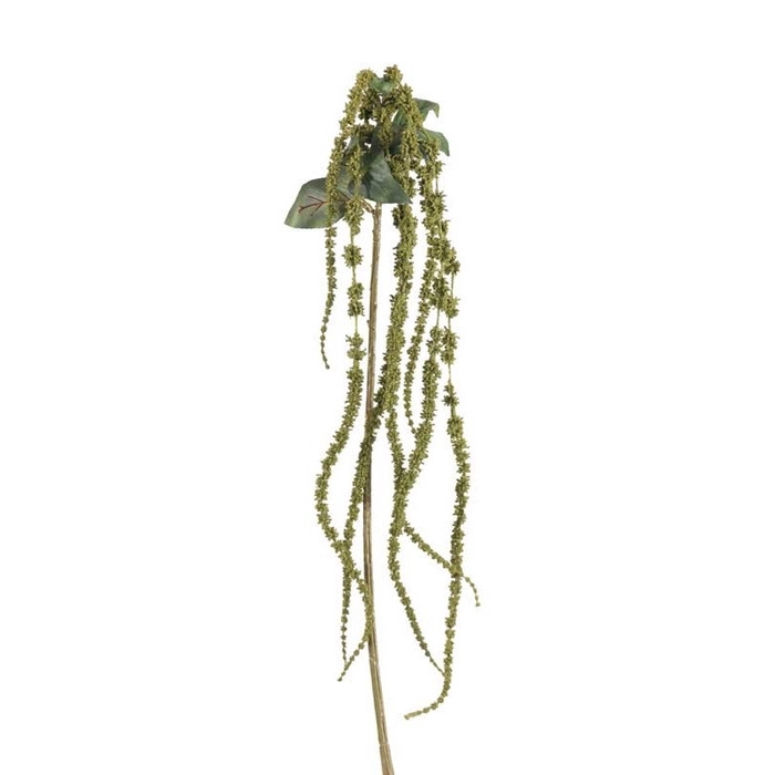 <h4>Amaranthus 66cm</h4>