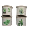 Ceramics Cactus pot d08*7.5cm ass.