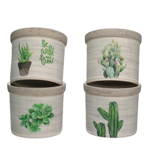 Ceramics Cactus pot d08*7.5cm ass.