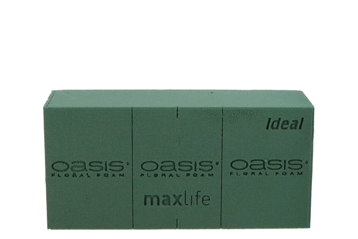 Oasis Naylorbase Masker Bord 45x19cm P/1