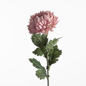 Af Chrysanthemum L75cm Pink