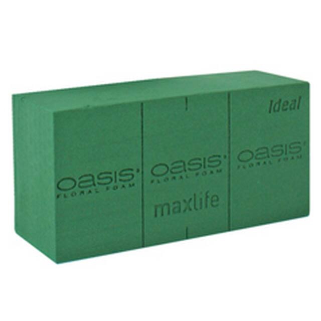 Oasis block ideal 23x11x8cm - doos 20st