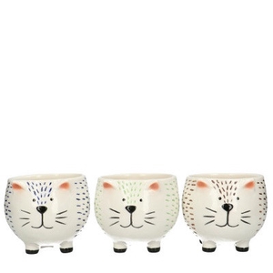 Ceramics Cat pot/foot d12*9.5cm