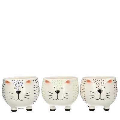 <h4>Ceramics Cat pot/foot d12*9.5cm</h4>