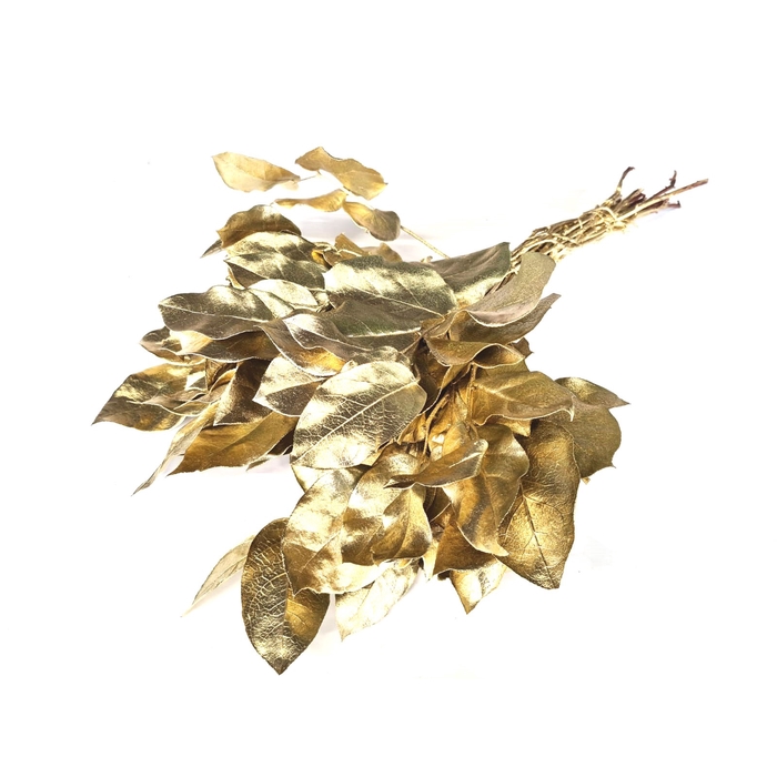 <h4>Salal tips mini dried per bunch Gold</h4>