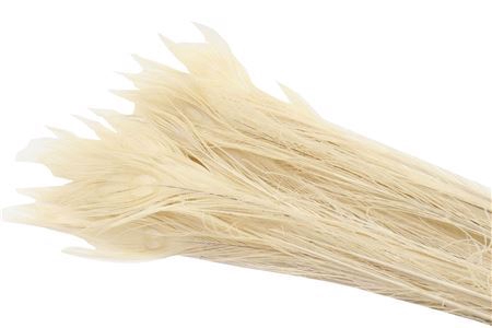 <h4>Feather Peacock Bleached L-90-100cm</h4>