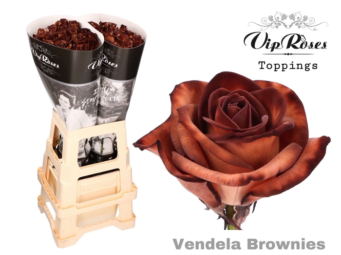 <h4>Prs gr Vendela Brownies</h4>