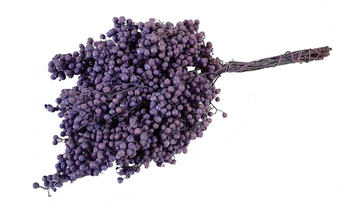 Pepperberries per bunch in poly Frosted Milka
