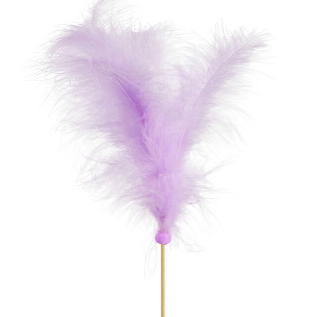 <h4>Pick Feathers 10cm+50cm stick lilac</h4>