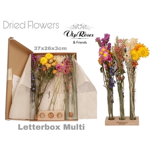 DRIED LETTERBOX MULTI TUBES