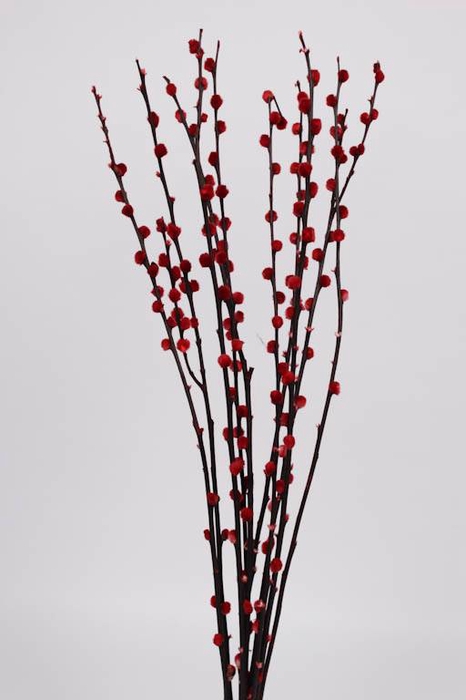 Pussy Willow 60cm Red