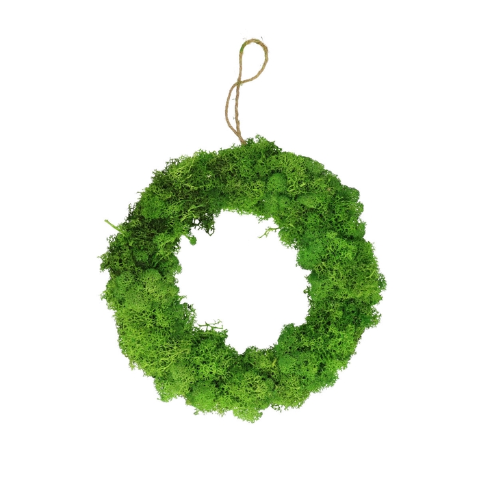 <h4>Wreath d30cm Reindeer moss</h4>