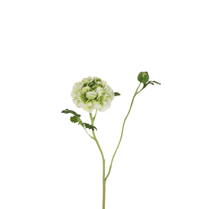 <h4>Artificial flowers Ranunclus 67cm</h4>