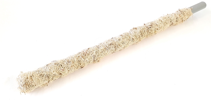 <h4>Tube 30mm with curly moss 80cm p pc bleached</h4>