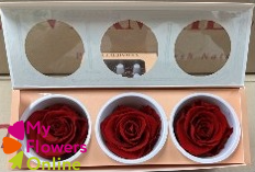<h4>Rose Eternelles Monalisa Rouge x 3 - 5.5cm</h4>