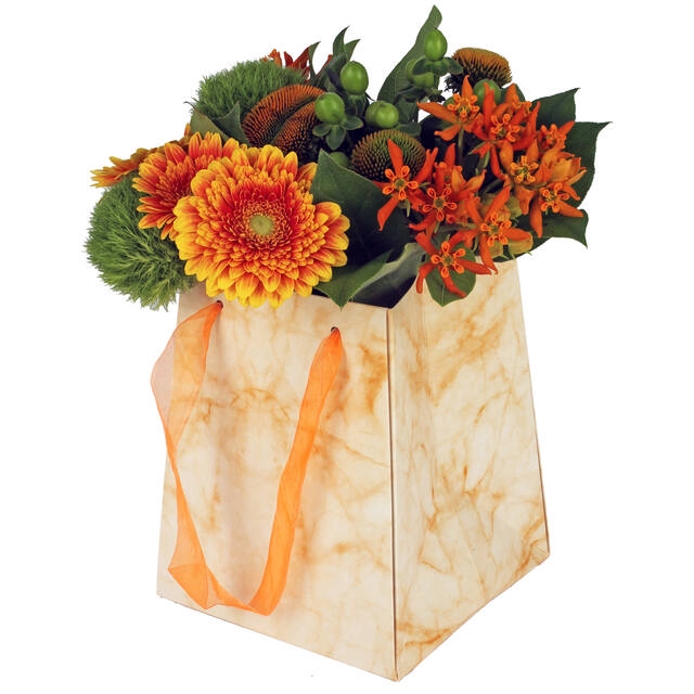 Bag Marble carton 12/12x15/15xH18cm orange