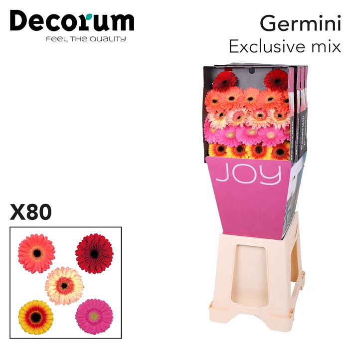 <h4>Germini Mix Exclusive Diamond</h4>