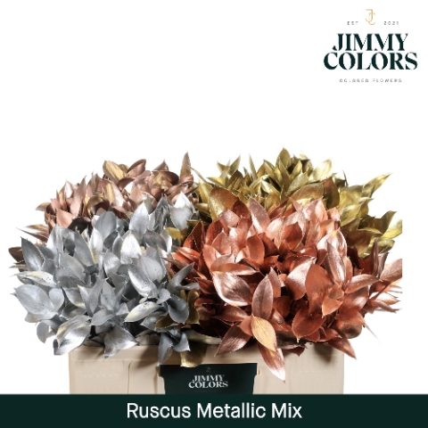 <h4>Ruscus L50 Mtlc. Mix</h4>