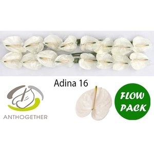 ANTH A ADINA 16 Flow Pack