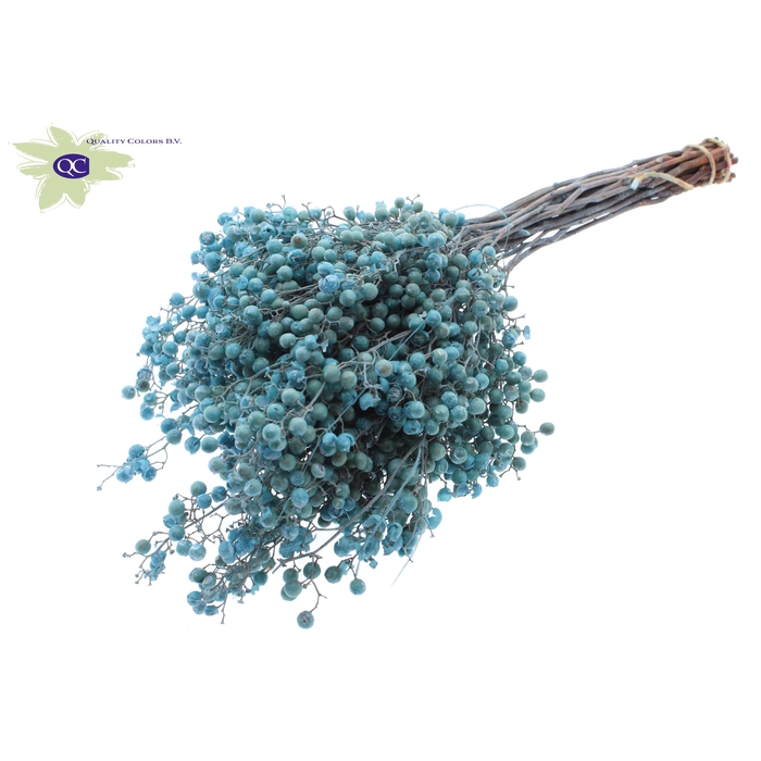 <h4>Pepperberries per bunch in poly Light Blue</h4>