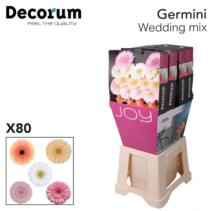 <h4>Germini Mix Wedding Diamond</h4>