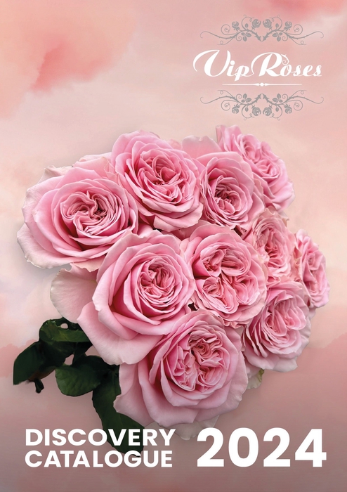 <h4>Catalogue VIP Roses</h4>