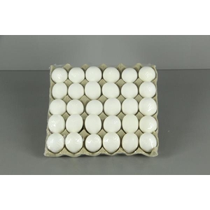 Egg Chicken White (30pcs/tray)